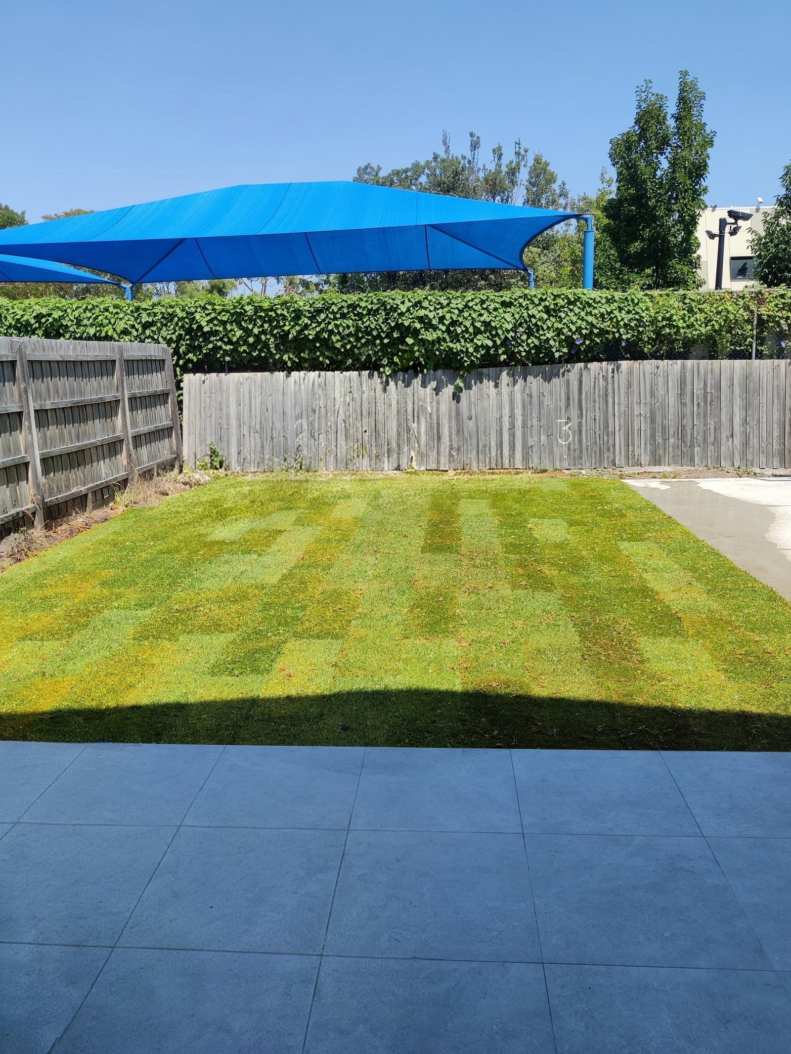 Turf lawn with paved patio