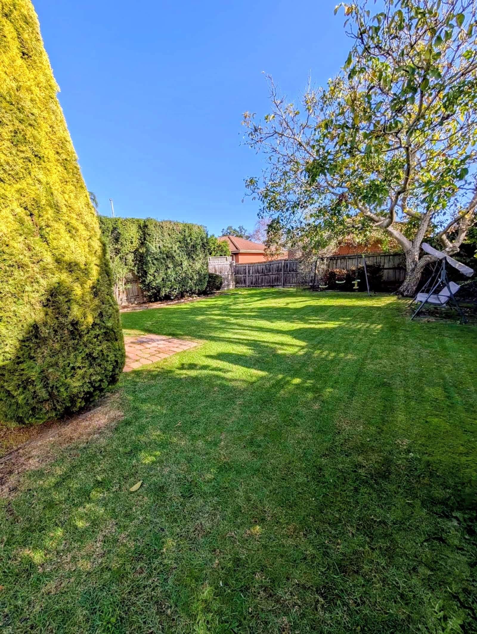 Tidy backyard lawn and garden
