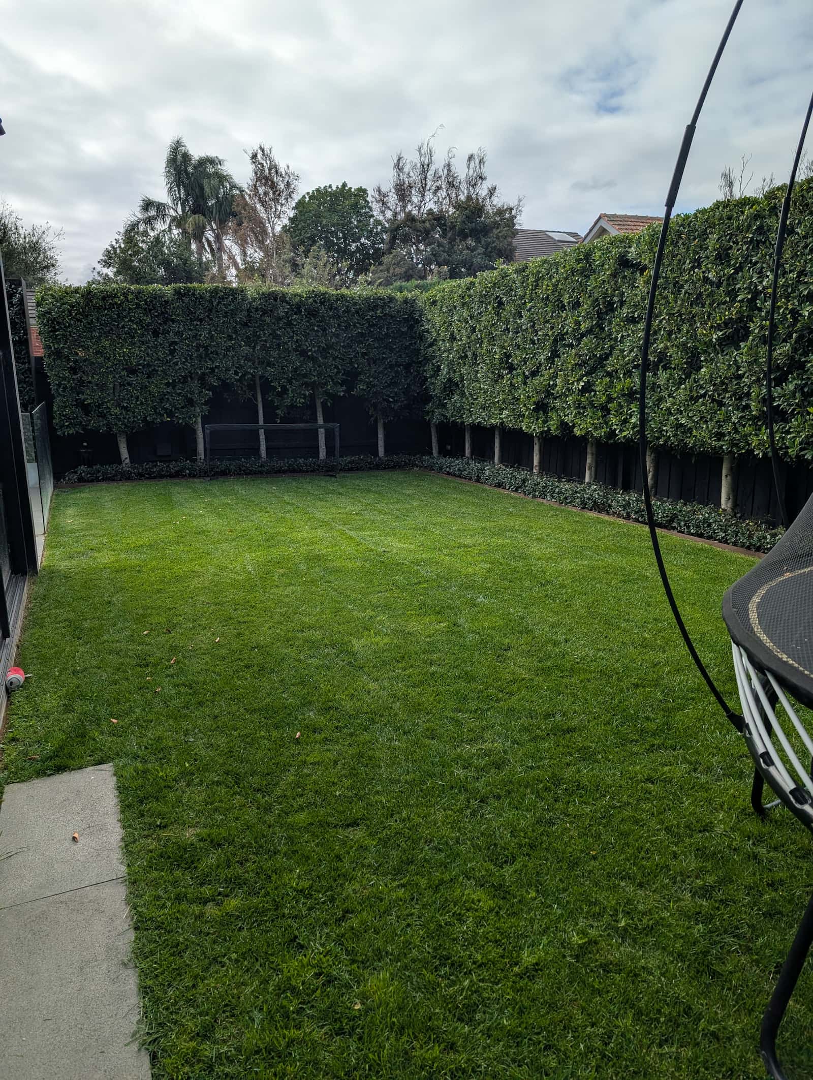 Lush, freshly mown lawn bordered by a neatly clipped hedge